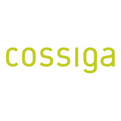 Collection image for: Cossiga