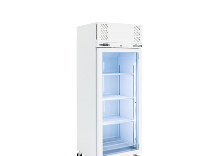 Pearl - One Door White Colorbond Upright Display Freezer